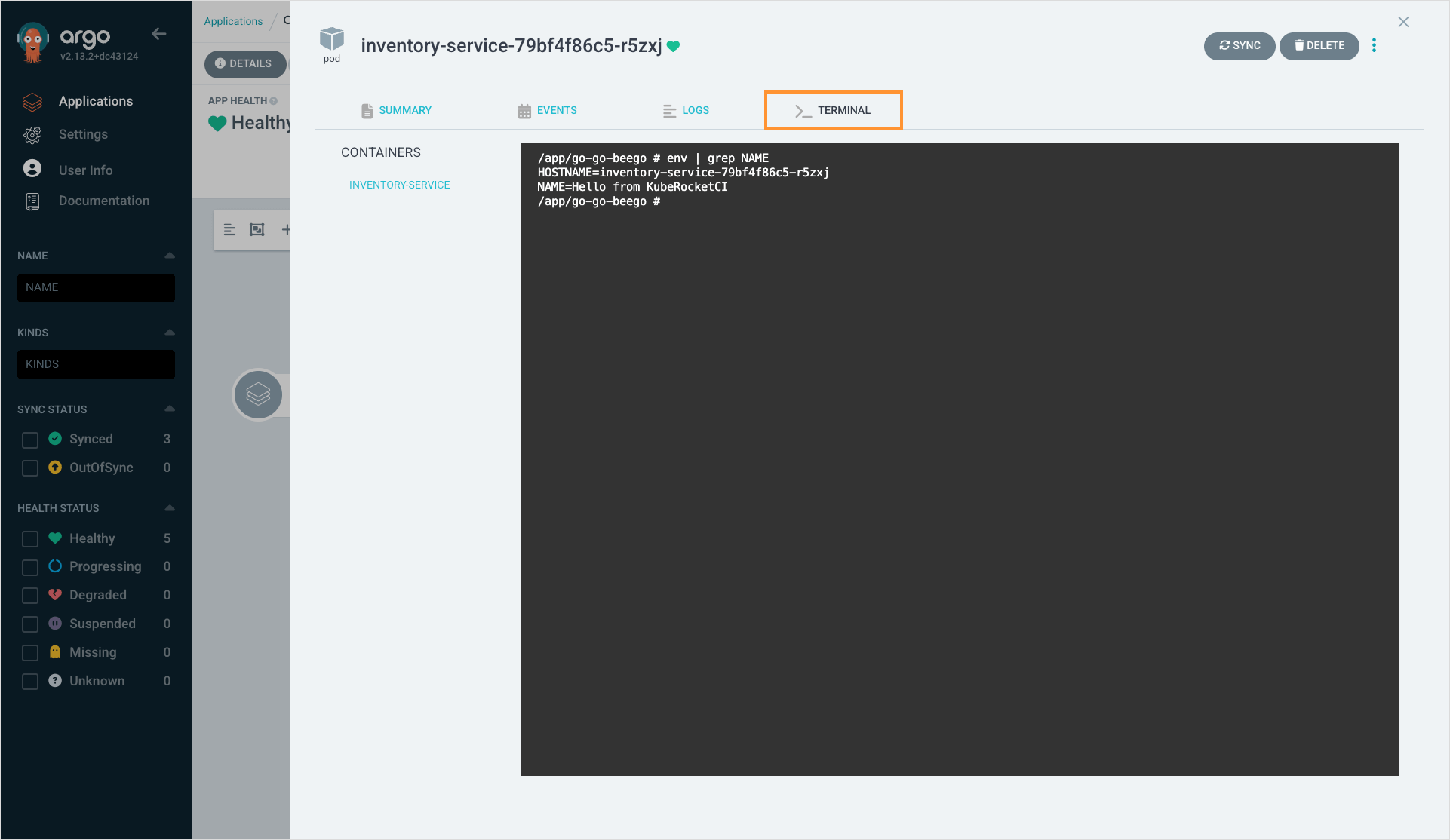 Application terminal in Argo CD